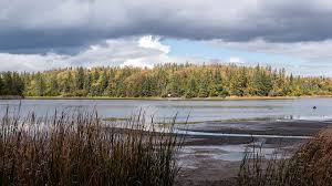 Island Lake Conservation Area: Hiking the Vicki Barron Lakeside Trail