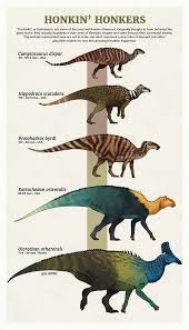 Tumblr Artist Paleoart Creates Beautiful Animal Evolution Series 22 Species Animals Beautiful Prehistoric Animals Ancient Animals