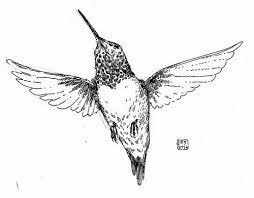 Tattoos Of Humming Bird Hummingbird Tattoo Black And White Hummingbird Tattoo Black Hummingbird Tattoo Black And White Realistic Hummingbird Tattoo