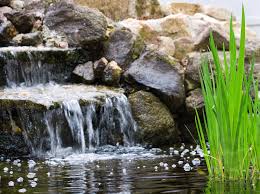 Blanket weed control in water or fish ponds is an enormously important part of saving a healthy and fit water pond. Blanket Weed Treatment Hozelock Ltd
