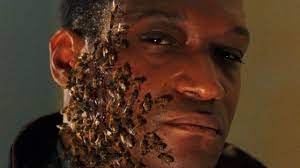 Part homage, part modern update, the new candyman film by nia dacosta is a creeping descent into a violent past which refuses to stay hidden. Tony Todd Clears The Air Regarding Candyman Remake