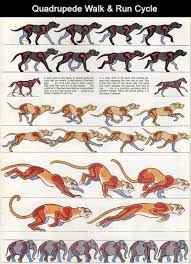 As I Try To Hand Draw A Walk Cycle This Is A Good Reference Although A Bit Exaggerated Walkcycle Anim Animation Reference Animation Art Animation Tutorial