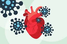 It was first identified in december 2019 in wuhan,. How Covid Can Also Damage Your Heart Cleveland Clinic