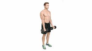 Obtenir des résultats est simplement une question de charge de travail. Musculation Des Biceps Meilleurs Exercices Programme Muscu Des Bras