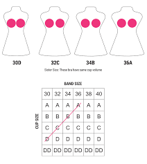 All available breast sizes expressed in inches or centimeters including the whole range of cup sizes from a upto k. Bra Sister Sizes Chart Sister Cup Sizes Chart Sisterhood Bra Clovia