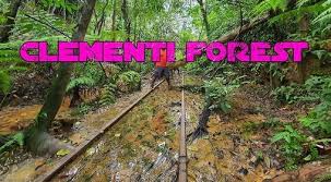 Clementi forest is a nature paradise hidden behind king albert park. Clementi Forest Hike Noon Time Clementi Arcade 6 February 2021