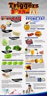 Fat Burning Food Chart Eric Berg What Type Of Protein