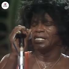 🇺🇸 James Brown