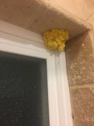 What's interesting about slime molds is that they usually live as single, microscopic cells, but they will aggregate into a visible. This Yellow Stuff Is Growing In My Shower Is It Mold Whatisthis