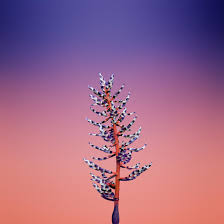 Ios 11 Neue Wallpaper Aufgetaucht Mac Life Die silhouette der ozeane und kontinente des planeten zeigt sich im dunklen gegensatz zum goldenen kreis. ios 11 neue wallpaper aufgetaucht
