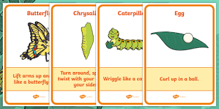 Cody The Caterpillar S Life Cycle Movement Activity Display Posters