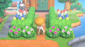 Lily of the valley flowers are special flowers that only grow on your island once you've reached a 5 star island we have a guide on how to get more lilies of the valley easily, so make sure you check it out! All Shrub Types And Colors In Animal Crossing New Horizons Allgamers