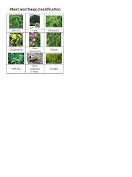 Maybe you would like to learn more about one of these? 3 2 Plant Classification Worksheet