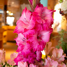 Locate your favorite store in your city. Friendly Farm New Pioneer Food Co Op