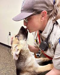 This Animal Control Officer (ACO) Appreciation Week we are paying homage to  Alameda's two ACOs: Alaina Onesko and Emily Crum. Here are some more photos  of these compassionate, devoted officers we're so