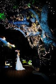 Celtic Wedding Ideas Pagan Wedding Outdoor Evening Wedding Celtic Wedding
