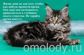 Citaty O Vremeni Frazy I Vyskazyvaniya