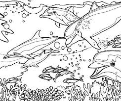 Some of the colouring page names are 5 fish template, coral reef coloring at colorings to and color, great barrier reef coloring book from dover publications weekly samples coloring books adult, 289 best images about how to. 31 Coral Reef Fish Coloring Pages Ideas Fish Coloring Page Coloring Pages Coral Reef