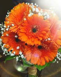 Orange Gerbera Daisy Bouquet Gerbera Daisy Bouquet Wedding Flowers Daisy Bouquet