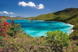 Free parking after 5pm based on availability. 15 Amazing Things To Do In Saint John U S Virgin Islands Map Tips
