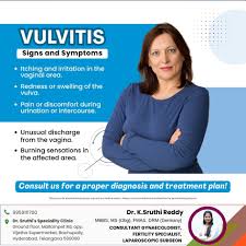Image result for Vulvitis