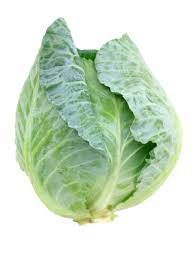 Image result for cabbage