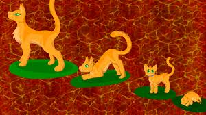 Fireheart, bluestar, firestar (just before fighting scourge), cinderpelt, whitestorm (he looks way too youn. Firestar Warrior Cats On Tumblr