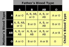 determine blood type from parentage and vice versa it is