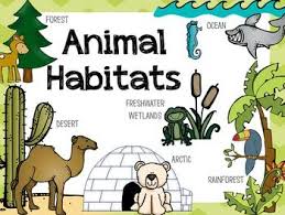 This Is A Unit Plan Designed To Teach Young Children About Animal Habitats The Habitats Included In This Unit Are De Animal Habitats Habitats Ocean Habitat