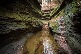 More cane creek canyon nature preserve activities. Hiking Rocky Hollow Falls Canyon Loop In Turkey Run State Park Indiana