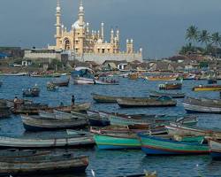 Image of Vizhinjam Marine Aquarium, Kovalam