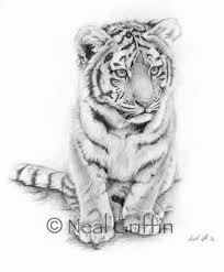 Pin On Wildlife