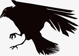 Selain itu, ia juga memiliki keindahan dan karakteristik tersendiri, sehingga banyak yang. Crow Png Gambar Burung Gagak Animasi Hd Png Download 5405020 Png Images On Pngarea