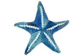 Wild Republic Cuddlekins Starfish Plush Toy Blue Realistic Stuffed Animals Animals Preschool Toys