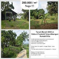 Terdapat 2, 1, 3 roomads untuk di tanah cocok untuk investasi jonggol bogor paling banyak. Tanah Kebun Sudah Ada Villa Seluas 5000 Meter Dijual Di Jonggol Www Nayyaproperti Com
