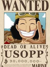 Pressure cookers speed up the process and cook the soup in way less time than on the stove. One Piece Wanted Poster Wallpapers Top Free One Piece Wanted Poster Backgrounds Wallpaperaccess