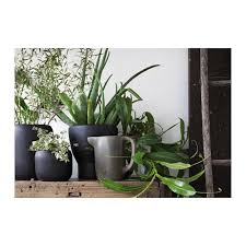 Mobilier Et Decoration Interieur Et Exterieur Framed Plants Ikea New Ikea