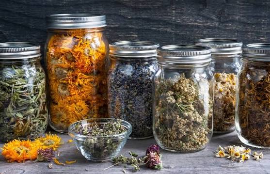 How to Store Dried Herbs for Homemade Herbal Remedies