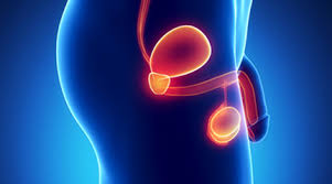 Whether you or someone you love has cancer, knowi. Prostate Cancer Treatment Cost In India Best Prostate Cancer Surgery In India