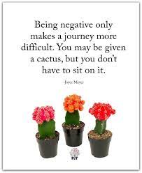 Do you like lie on the sunny beach? Gerd Kopp On Twitter Being Negative Only Makes A Journey More Difficult You May Be Given A Cactus But You Don T Have To Sit On It Joycemeyer Https T Co Om9btietky