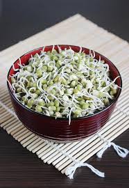 mung bean sprouts how to make sprouts green gram sprouts