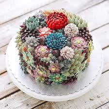 Beautiful Cakes That Look Like Fresh Succulents Succulent Cake Succulent Wedding Cakes Terraria Cake