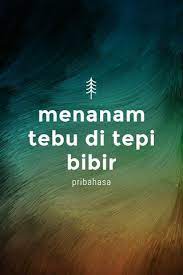 Bertanam tebu di pinggir bibir kim mitra mandiri. Steller Create Beautiful Social Media Stories