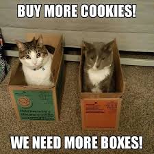 37b04cfa42ef203f89fa23379dbabf46 Girl Scout Cookie Meme Funny Cats Crazy Cats