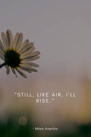 Try not to post only a quote description or just the origin of the quote. Still I Rise By Maya Angelou Still I Rise Maya Angelou Maya Angelou Quotes