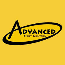 If not eliminated in time, termites can cause extensive damage to your property. Advanced Pest Control Pest Extermination Hot Springs Ar