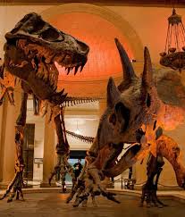 A Night At The Museum 10 Museums That Host Sleepovers Night At The Museum Museum Natural History