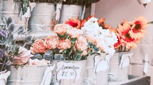 Start off your shopping excursion in sylvan park and stop by elle gray (women's clothing), oak nashville (home decor), and import flowers (flower shop). 42 Most Instagrammable Places In Nashville Tn Photo Spots In Nashville
