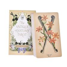 Free shipping on orders over $25 shipped by amazon. The Antique Anatomy Tarot Cards English Version Tarot Deck Pdf Guidebook Board Games For Women Personal Use Card Games Aliexpress
