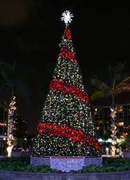 The giant everest is a uniquely designed commercial christmas tree that features a wider profile frame that's great for large spaces. Commercial Christmas Trees From 12 To 100 In Height Outdoor Christmas Tree Outdoor Christmas Tree Decorations Commercial Christmas Decorations